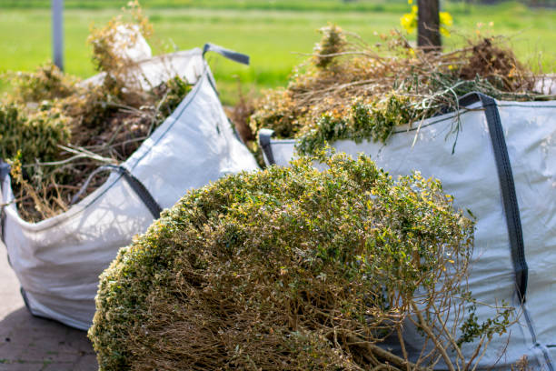 Best Yard Waste Removal  in Morristown, TN