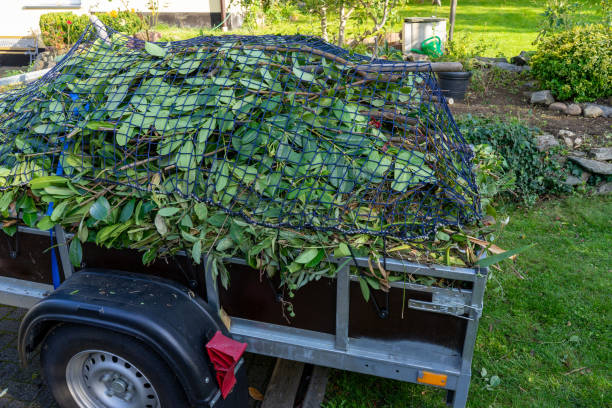 Best Hoarding Cleanup  in Morristown, TN